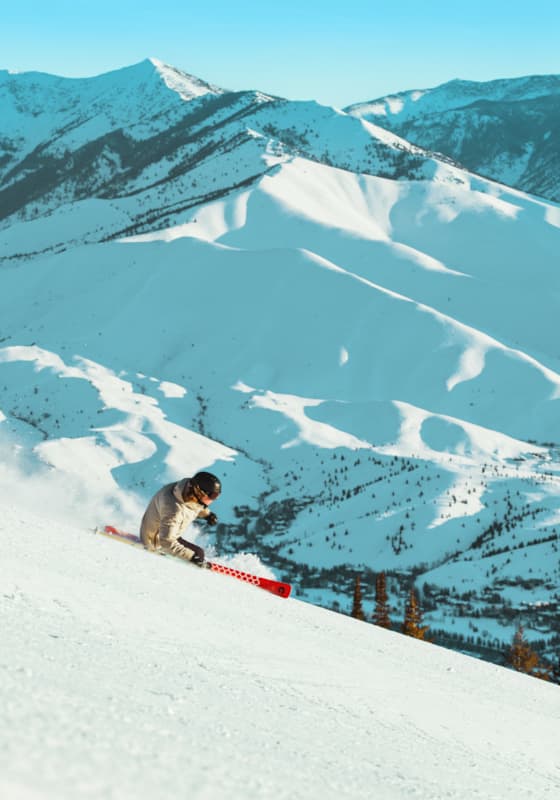 gadd_ray_j_o4a2782_v1