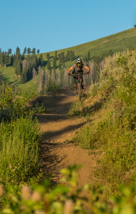 svr_baldmountain_mountainbiking_clubride_summer_2019_idarado_3