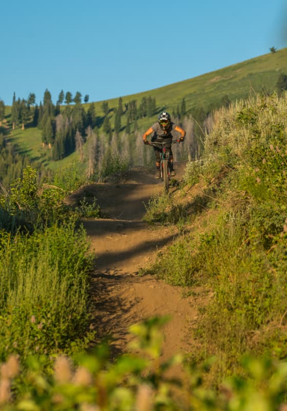 svr_baldmountain_mountainbiking_clubride_summer_2019_idarado_3