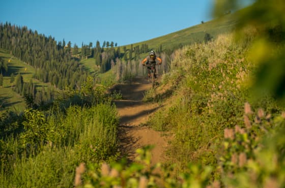 svr_baldmountain_mountainbiking_clubride_summer_2019_idarado_3
