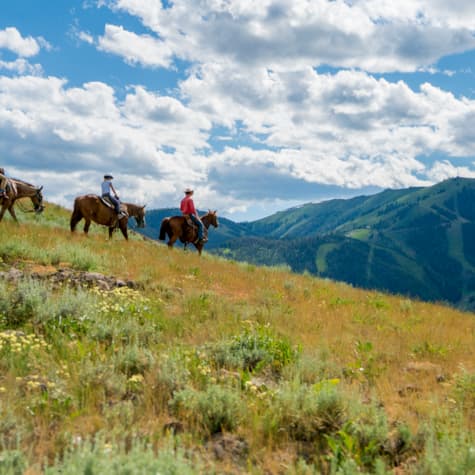 svr_dollar_horseback_2023_5-jpg