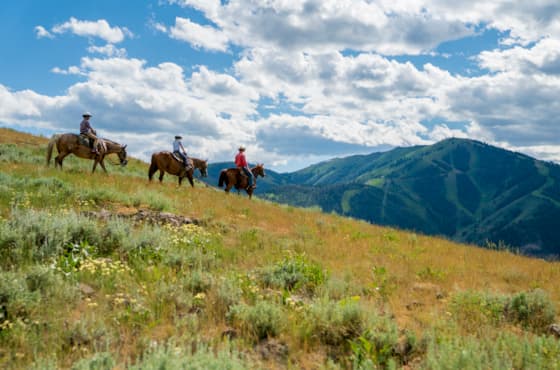 svr_dollar_horseback_2023_5-jpg