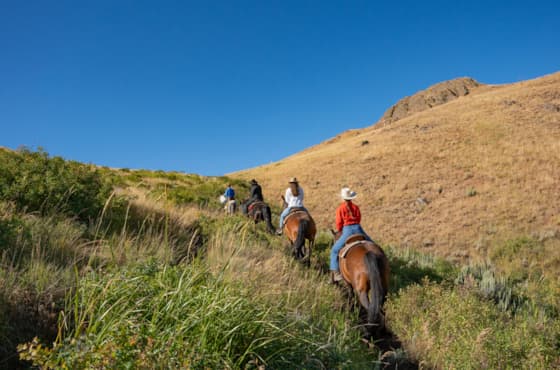 svr_dollar_horsebackriding