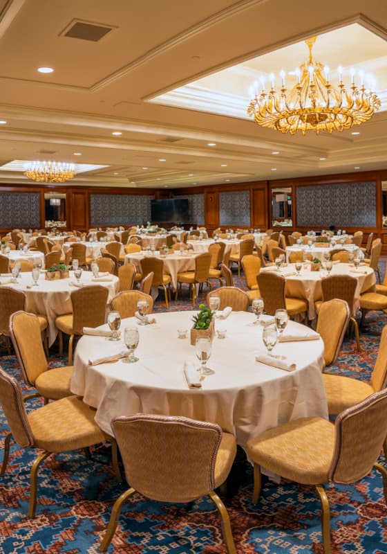 svr_inn_continentalroom_summer_2023_morton_cooper_2