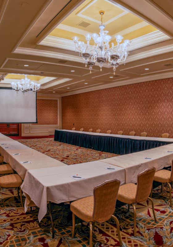 svr_inn_limelighta_summer_2023_morton_cooper_6