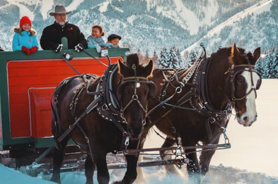 svr_svstables_sleighride_winter_2019_dondero_steve_5_v1-3
