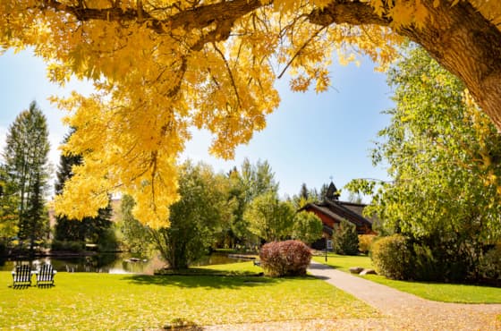 svr_village_fall_duckpond