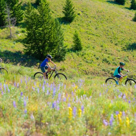 svr_whiteclouds_mountainbiking_family_summer_2019_idarado_2